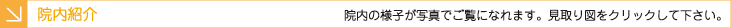 院内紹介